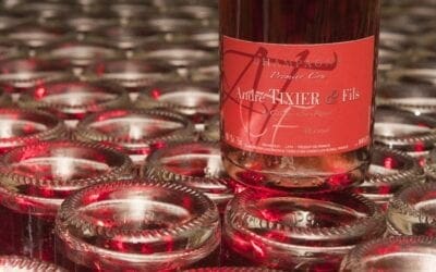Organic Champagne Ensures You Appreciate the Present