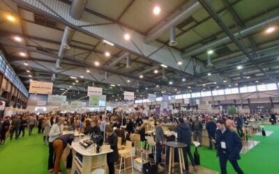 Resources for Sommeliers, Restaurants as COVID-19 Grinds On