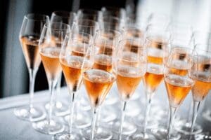 champagne tulips