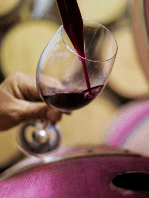 Wine & Champagne Appreciation Course - One Time Purchase