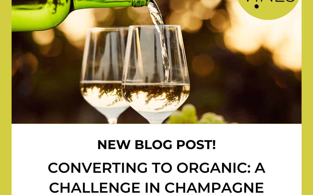 Converting to Organic: A Challenge in Champagne
