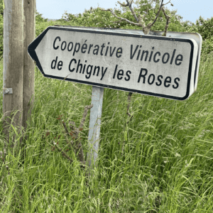 Champagne Growers in the town of Chigny les Roses lead the Green Revolution in winemaking.