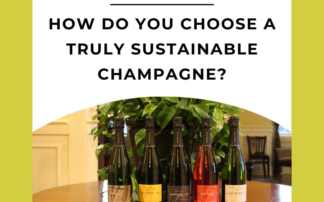How do you Choose a Truly Sustainable Champagne?