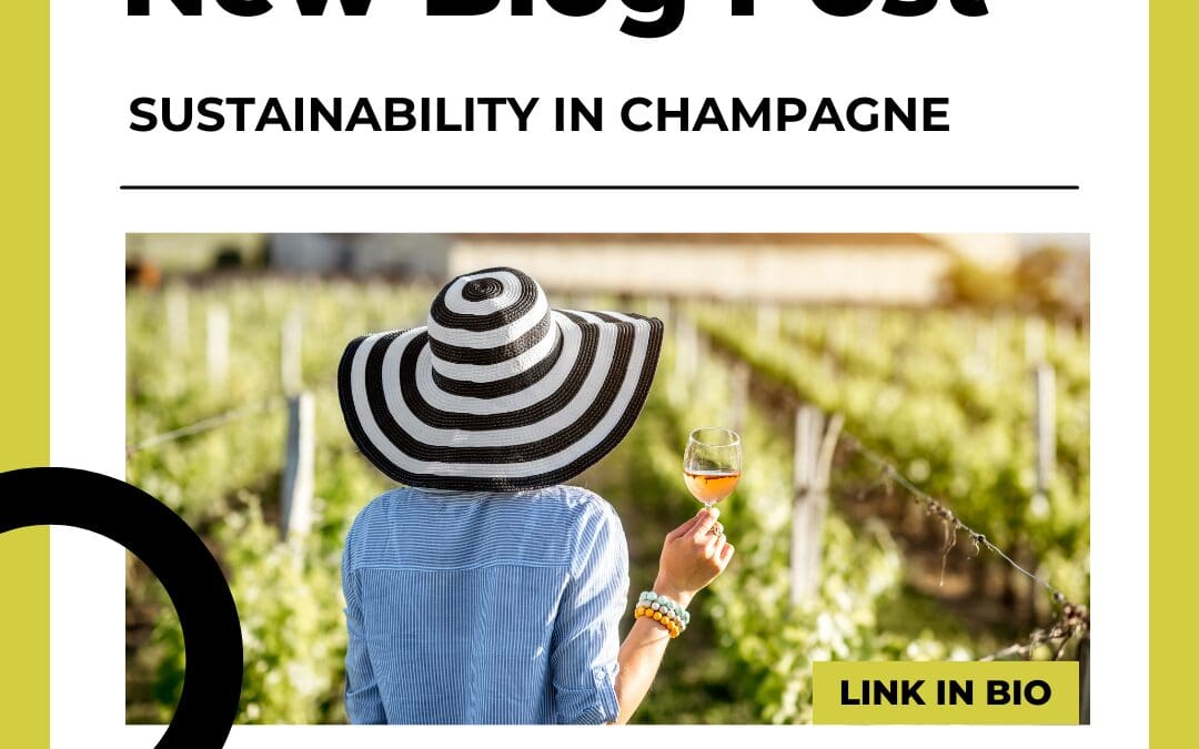 Sustainability in Champagne