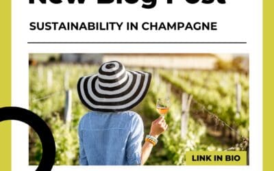 Sustainability in Champagne