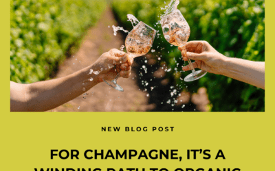 For Champagne, It’s A Winding Path To Organic