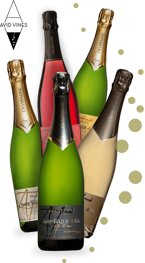 Avid Vines | Best Quality Champagne