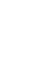 Avid Vines Logo | Best Quality Champagne | Quality Wine