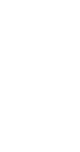 Avid Vines | Best Quality Champagne