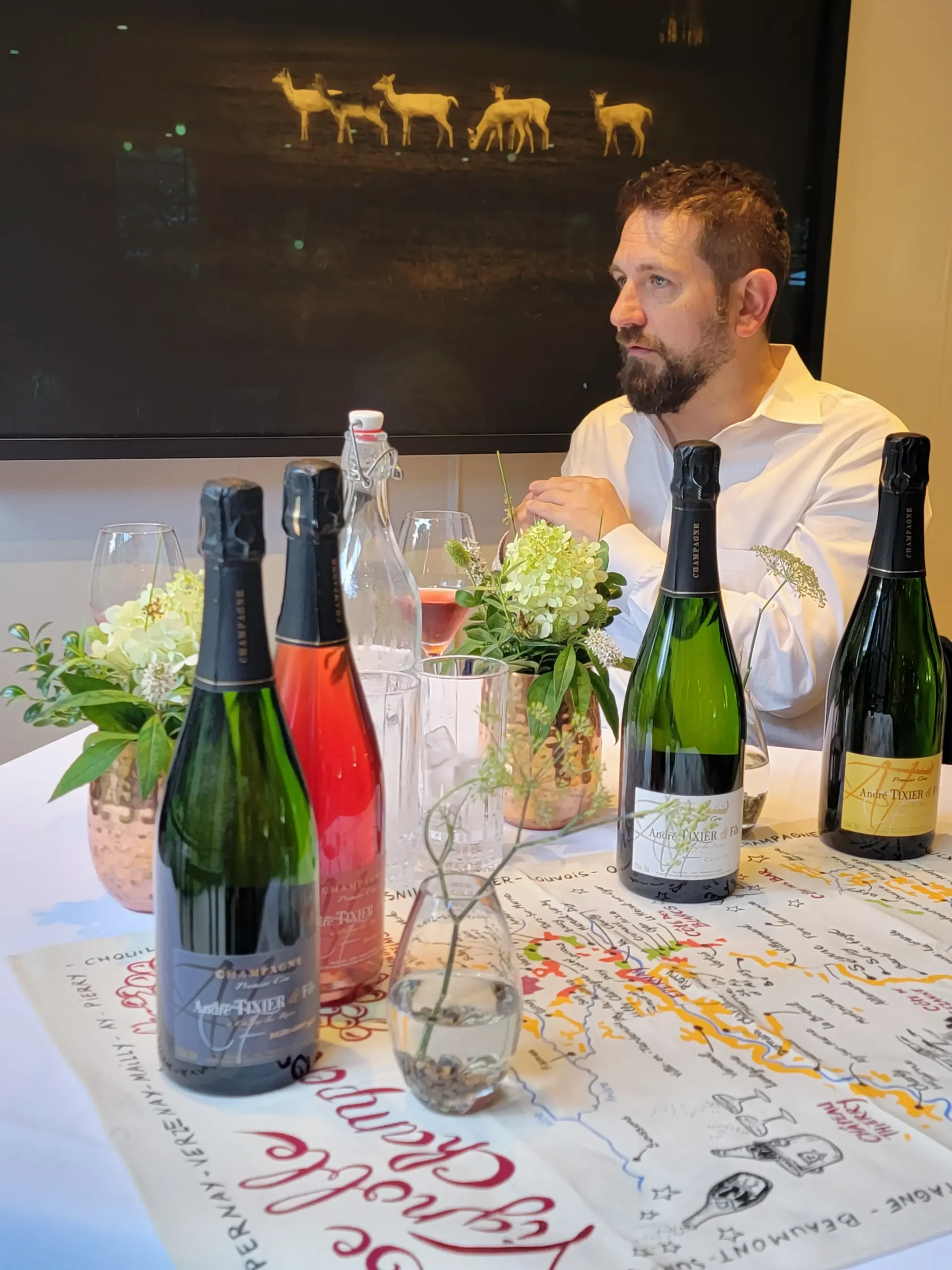 Avid Vines | Best Quality Wine from France | Collabs.io Mag