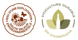 Avid Vines | Best Quality Champagne | Quality Wine