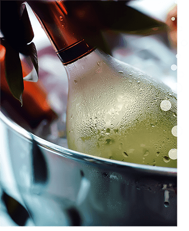 Avid Vines | Best Quality Champagne