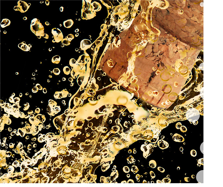 Avid Vines | Best Quality Champagne