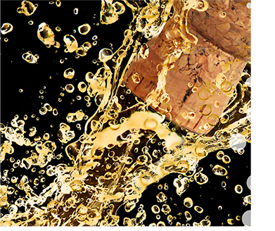 Avid Vines | Best Quality Champagne