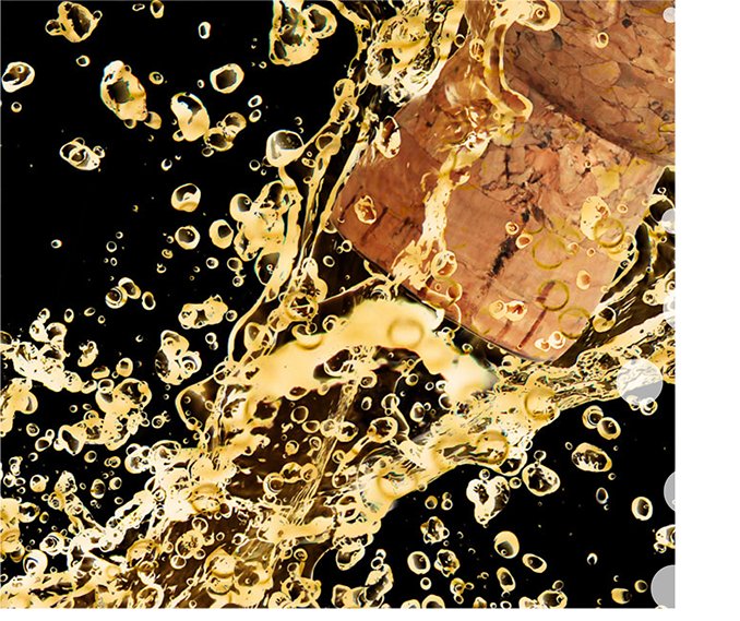 Avid Vines | Best Quality Champagne