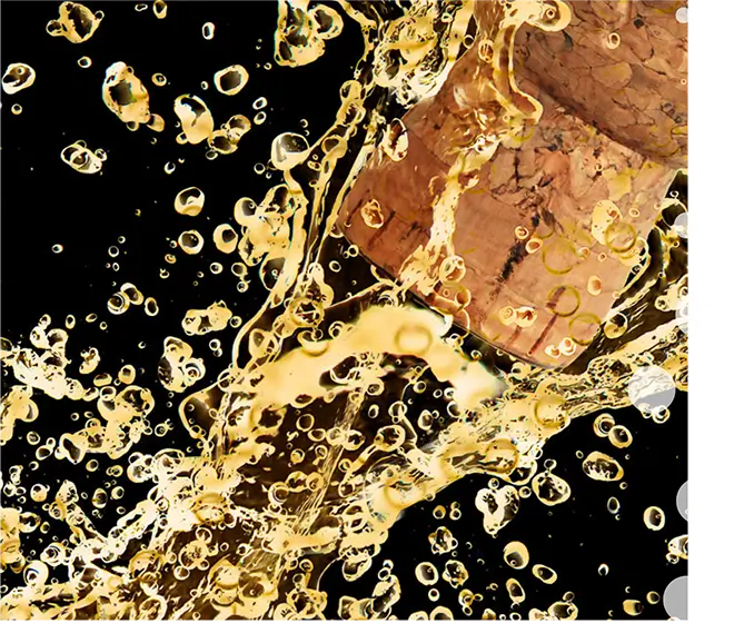 Avid Vines | Best Quality Champagne