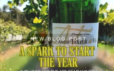 A Spark to Start the Year: The Art of Meaningful Celebration
